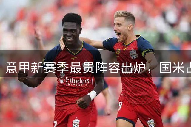 意甲新赛季最贵阵容出炉，国米占据大半江山